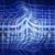 Digital Agility Defines Today&rsquo;s True Competitive Strength